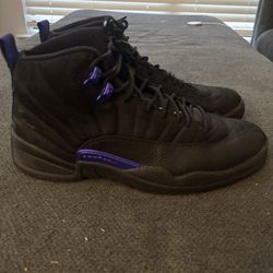 Jordan 12