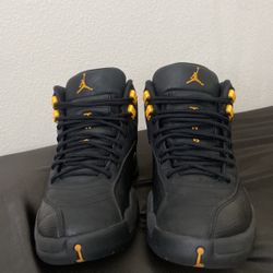 Jordan 12's