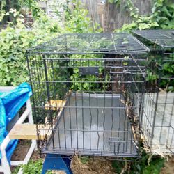 3x2 Ft Dog Cage