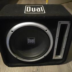 Dual Sbx100 10" Subwoofer 500 watt
