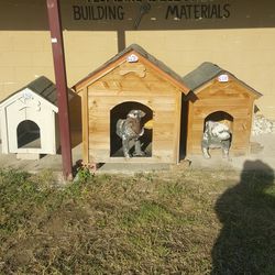 Dog Houses 