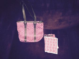 Coach Purse and Scarf