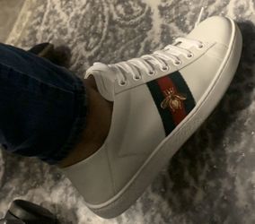 Gucci ace sneakers