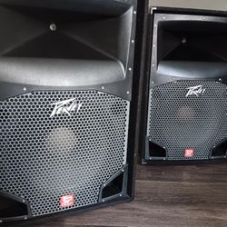 2 Speaker Peavey Sp, 2 Massive Bass.