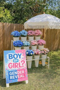 Bloom Bar Gender