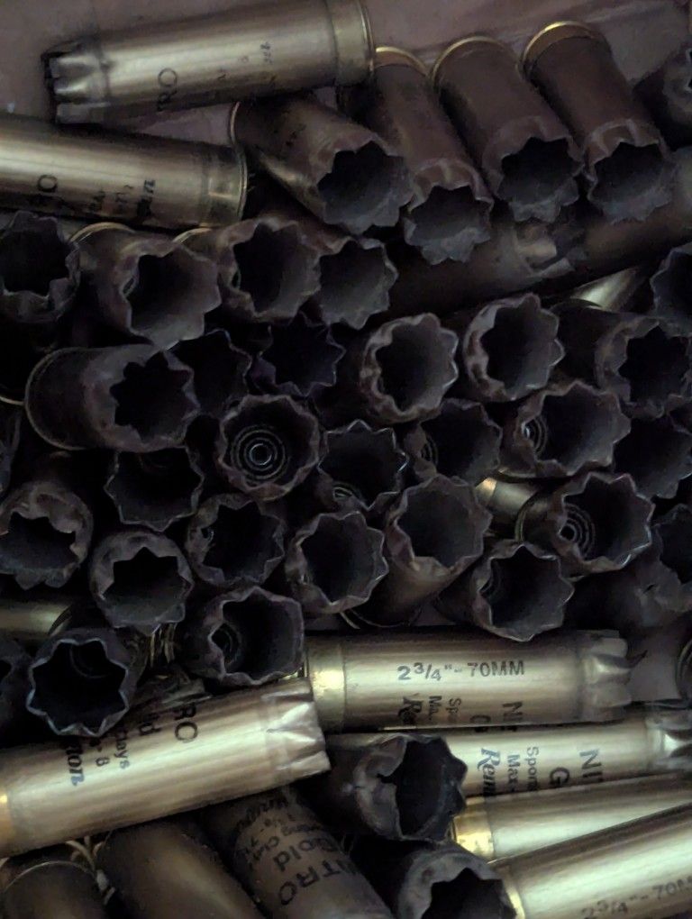 Reloads 250 Count