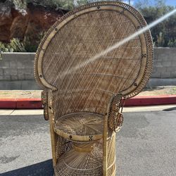 Stunning 1950’s Peacock Chair