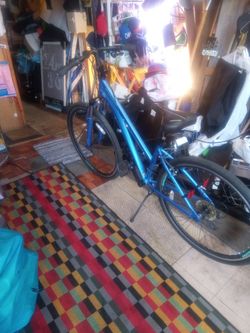 27 Speed Schwinn Bike 