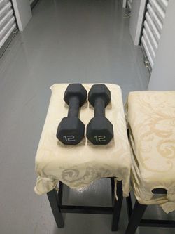 QTY 2 12 LBS DUMBBELLS