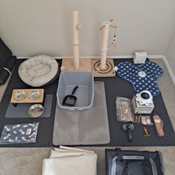 Cat Supplies 