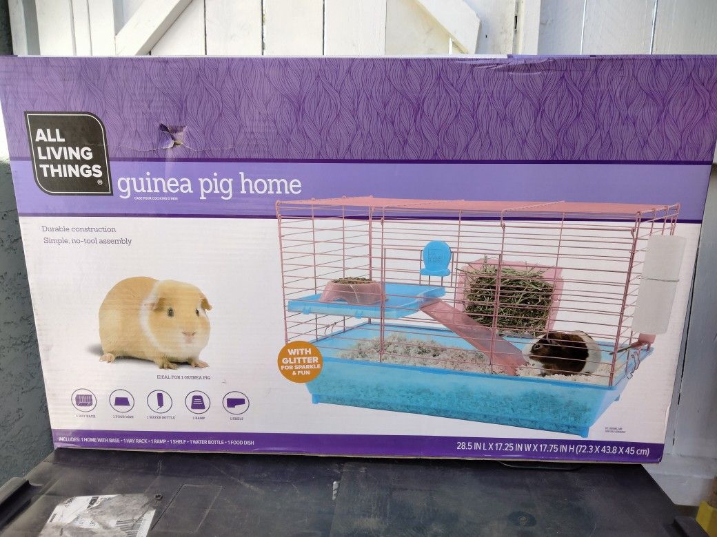All living things hamster wheel sales