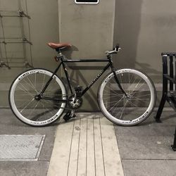 2009 Windsor “The Hour”