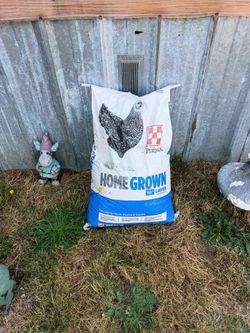 Home grown 16% protein feed for chickens ducks geese 40lb