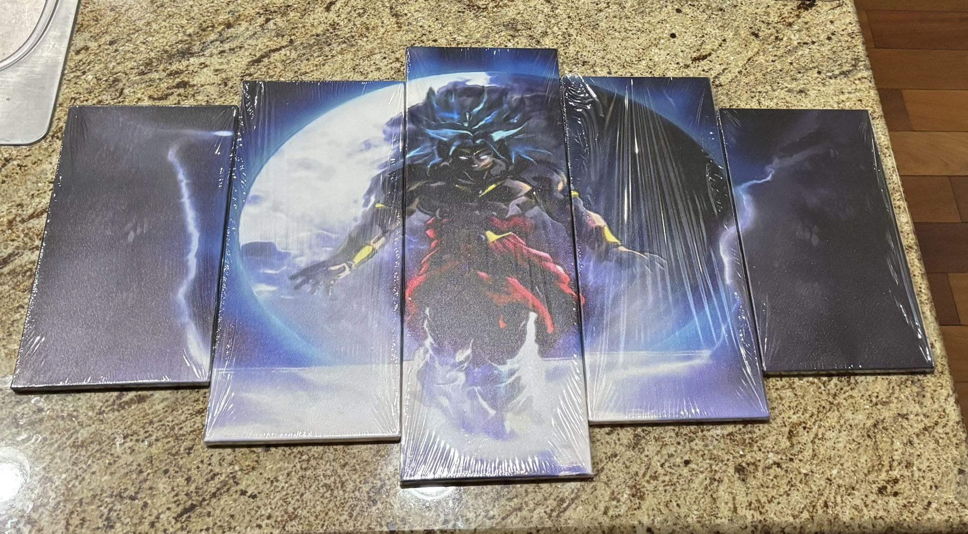 Dragon Ball Z: Broly 5 Piece Canvas