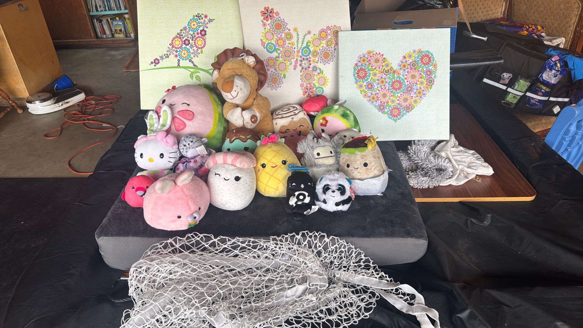 Girls Plushie Collection And Frames
