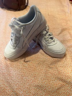 White Pumas