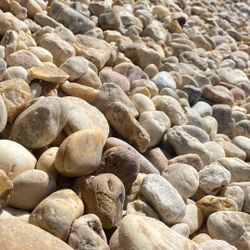 Medium (1” to 2”) White River Rock - $295 per yard