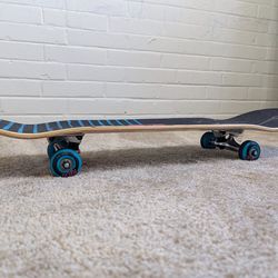 Skateboard with all safty geara