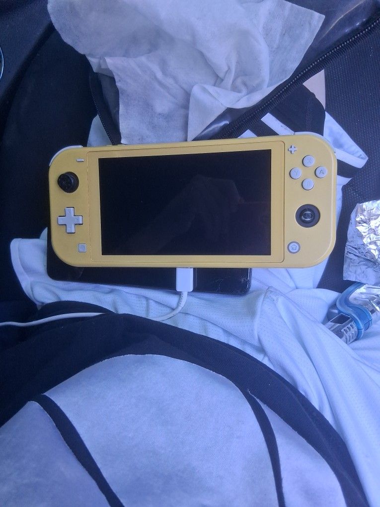 Nintendo Switch Lite