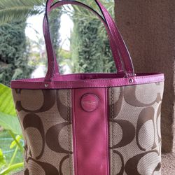 Y2K Vintage Signature Coach Bag 