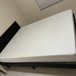 Queen Bed Frame & Foam Mattress (Moving Sale)