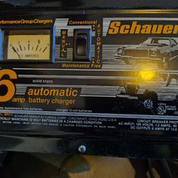 Schauer Automatic Battery Charger