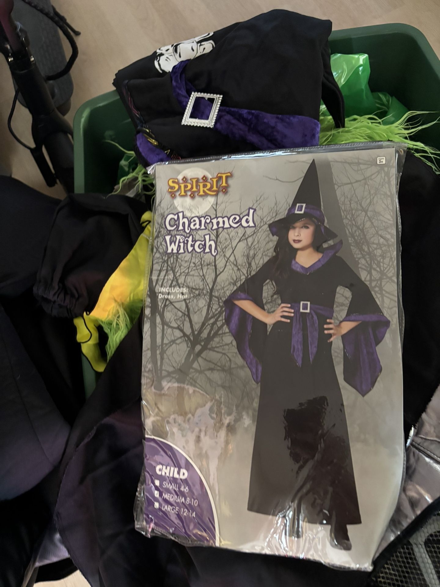 Witch Halloween Costume