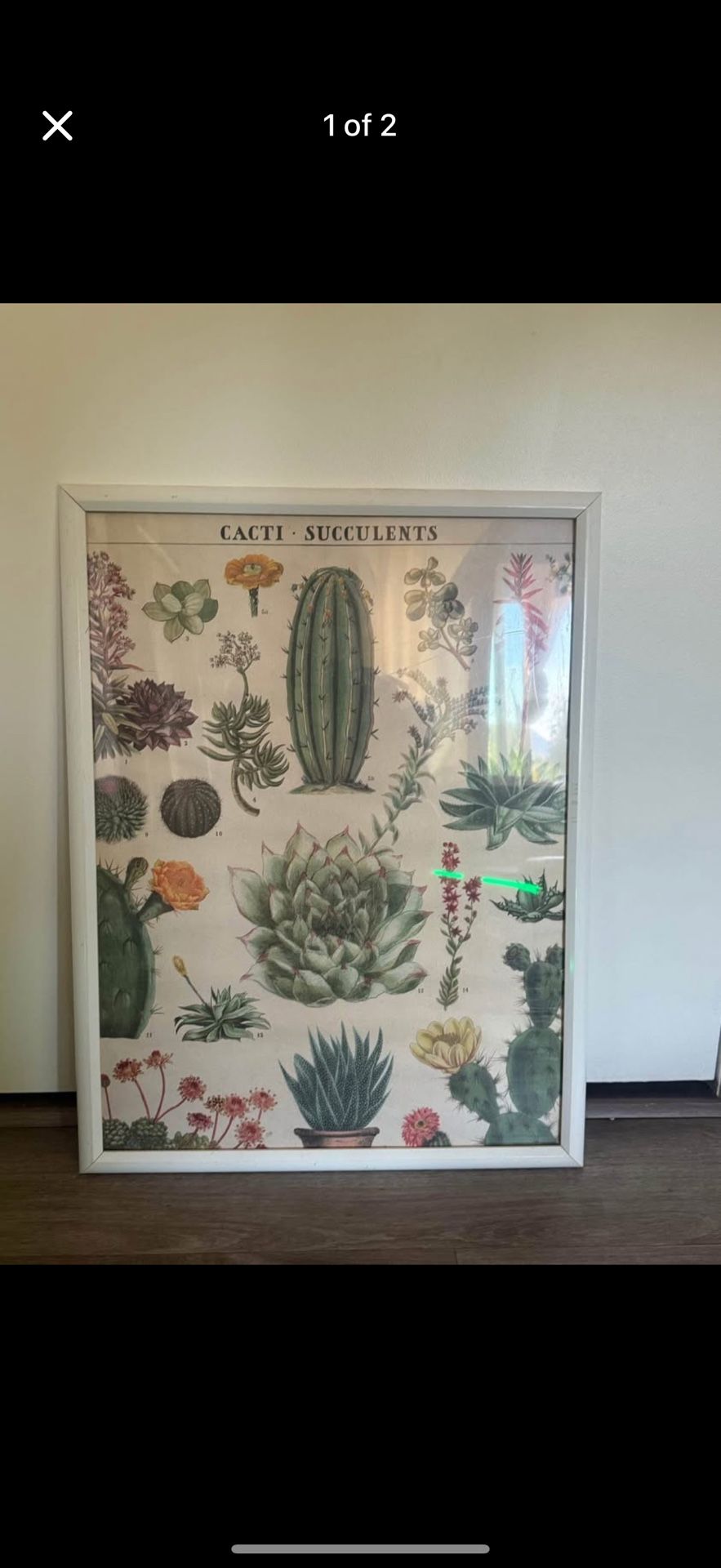 Plant Frame