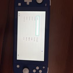 Nintendo Switch Lite