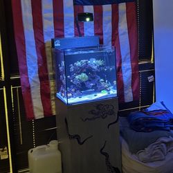 Aquatop 24 AIO Fish Tank