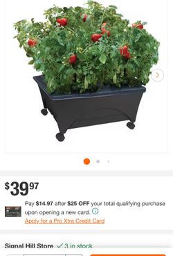 Plants Planter Raised Garden
