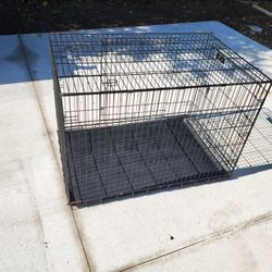 Large Dog Cage