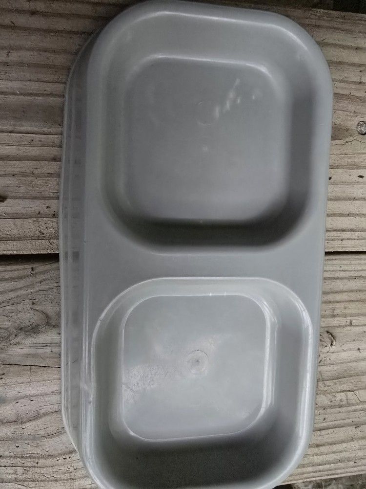 Cat Bowl