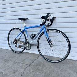 Raleigh Road Bike
