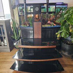 Glass Shelf TV Stand