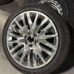 Denali Reps In Stock 📲