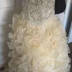 Quinceanera  Dress 