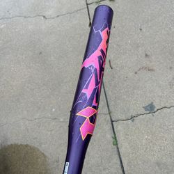 Softball Bat