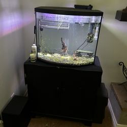 35gal Fish Tank And Stand 