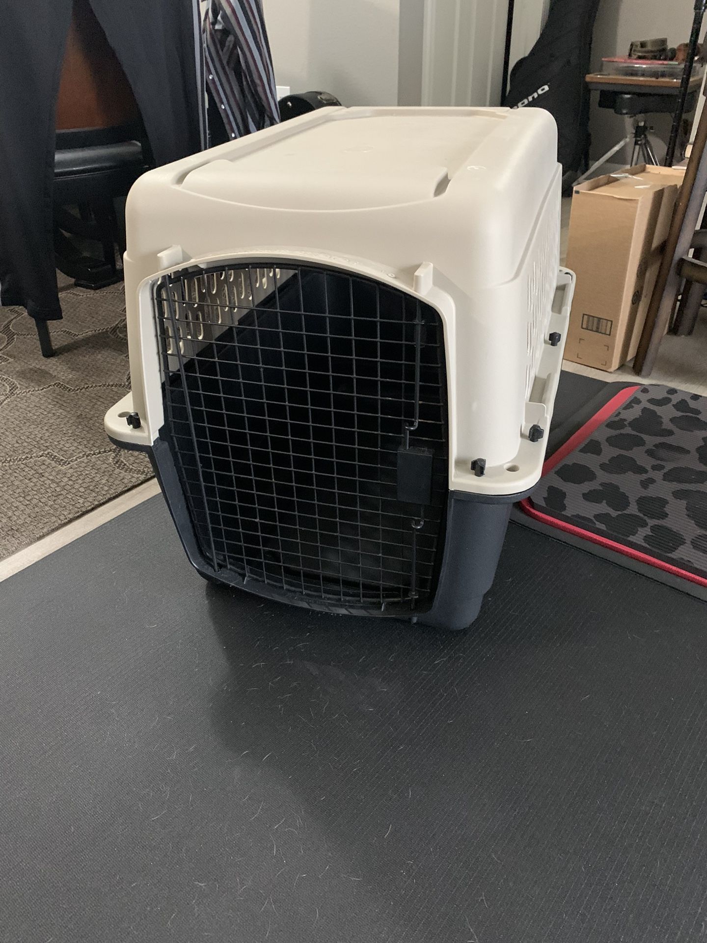 Dog Crate and Dog Bed