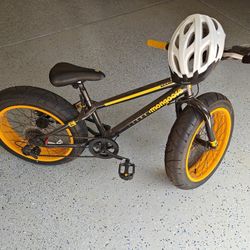 Mongoose massif 2024