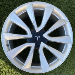 Tesla Model 3 Rim