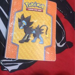 POKÉMON FOR PICKUP CASE AND SOME CARDS PICKACHU IS 15 With Case Is 5 So 20$ BUT PRICE IS NEGOTIABLE