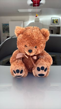 Brown Plush Teddy Bear with Ribbon