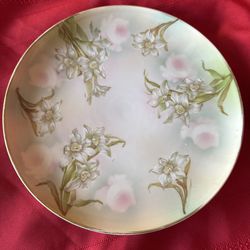 MZ Austria Antique Porcelain Handpainted Floral Plate