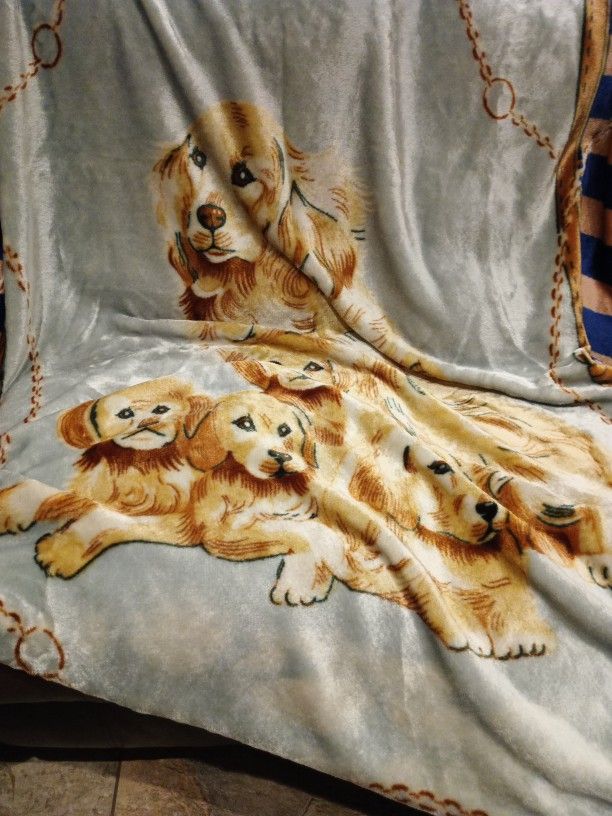 San Marcos In Blanket