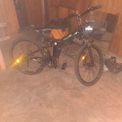 Isinwheel Electric Bike 