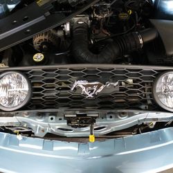 2006 Ford Mustang Gt Grill 