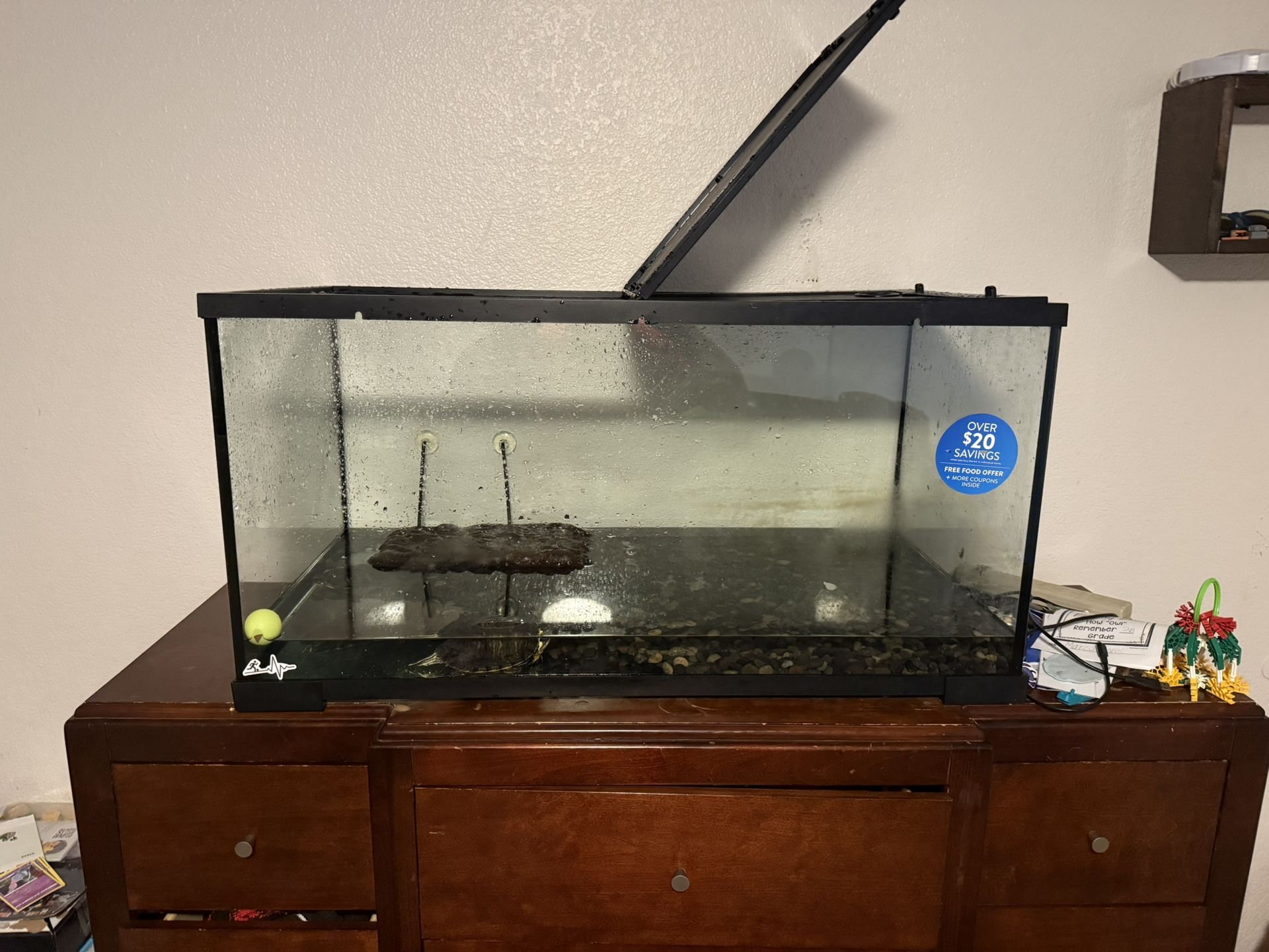 Turtles/Aquatic Tank