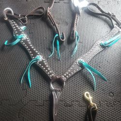 Horse bridle and chess collar
